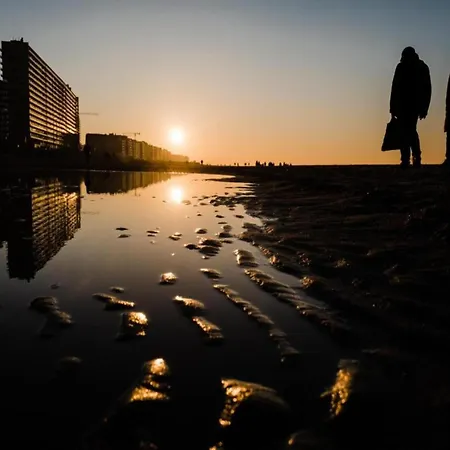 In With Marina Views Apartman