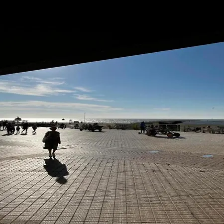 With A View Of The Marina Appartement