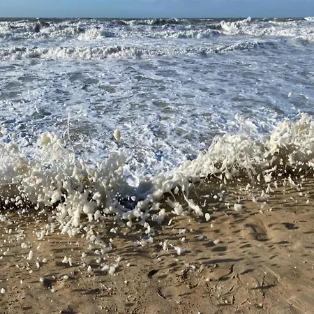 In With Marina Views Apartman *