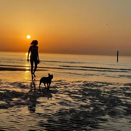 In With Marina Views Apartman Ostende