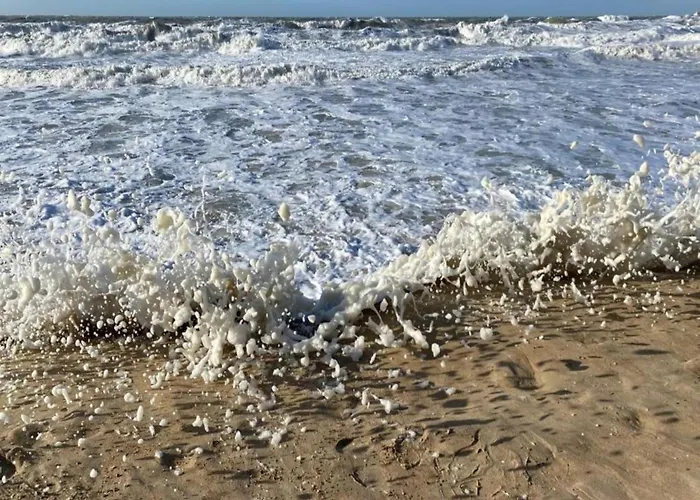 In With Marina Views Apartment *