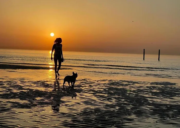 In With Marina Views Apartment Ostende